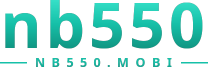 nb550 logo